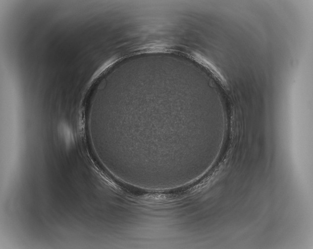 X0000113311450200909211132