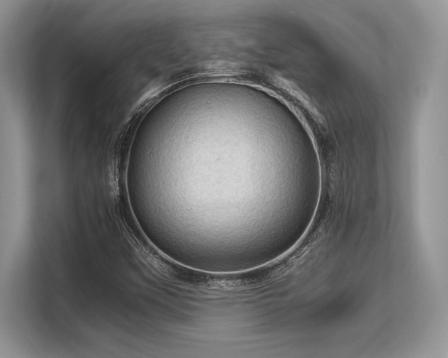 X0000113311451200909211132