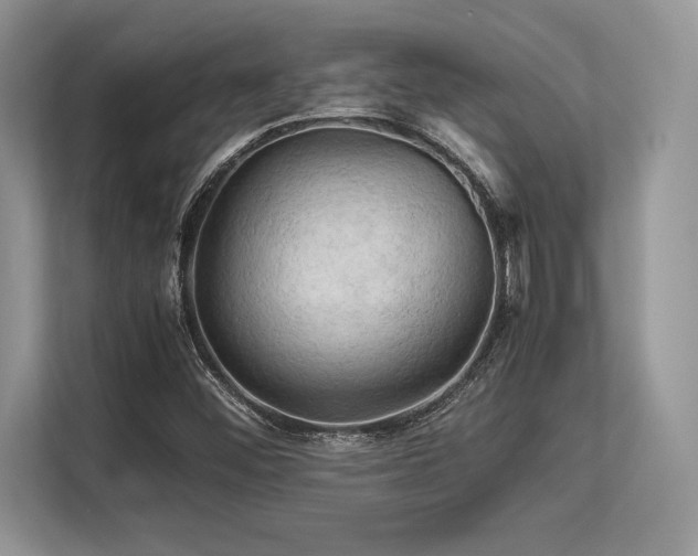 X0000113311452200909211132