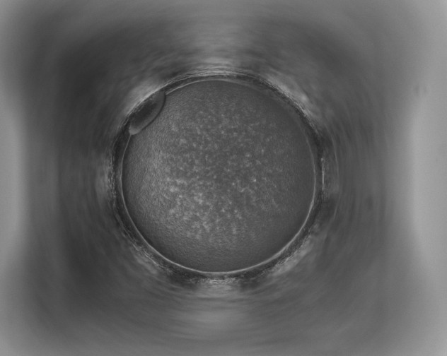 X0000113311453200909211132