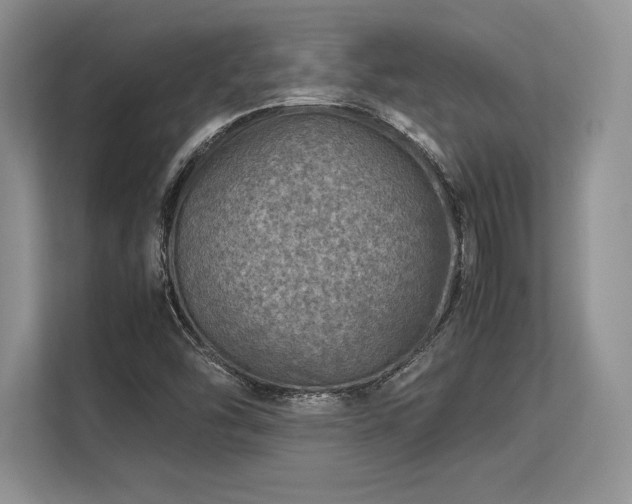 X0000113311454200909211132