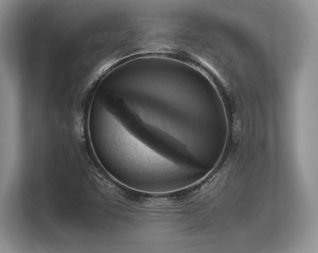 X0000113311455200909211132