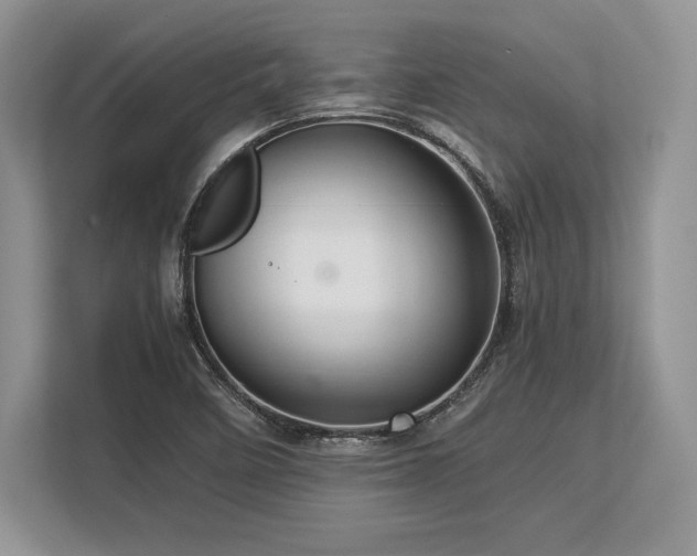 X0000113311458200909211132