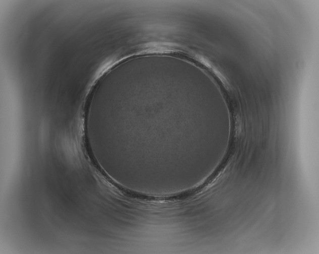 X0000113311459200909211132