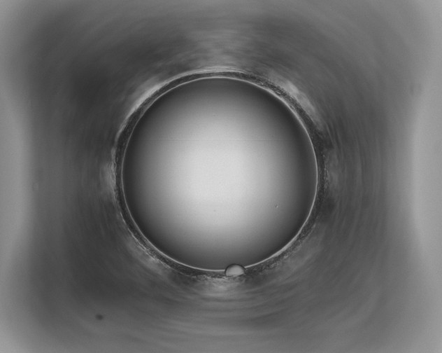 X0000113311460200909211132