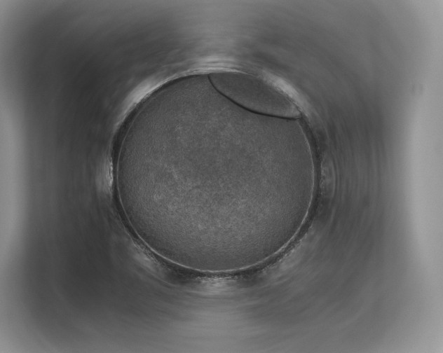 X0000113311461200909211132