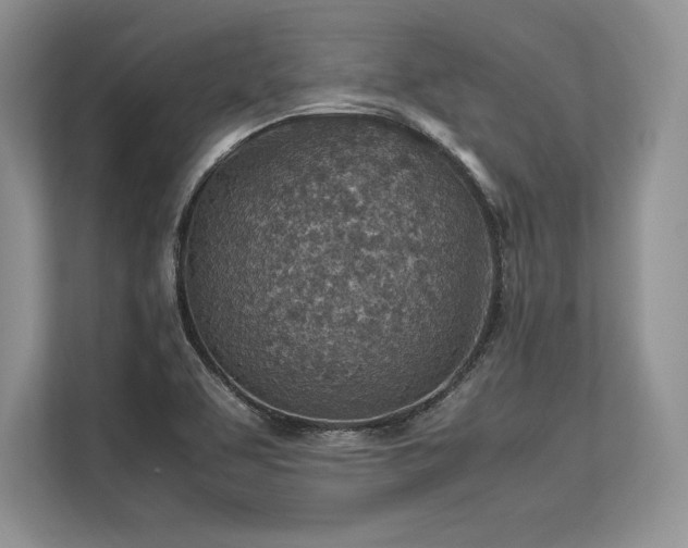 X0000113311463200909211132