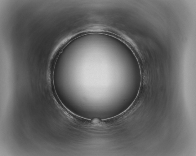 X0000113311464200909211132