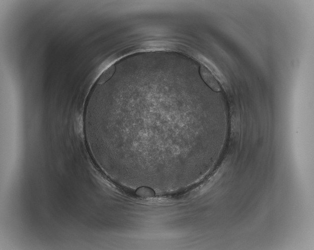 X0000113311465200909211132