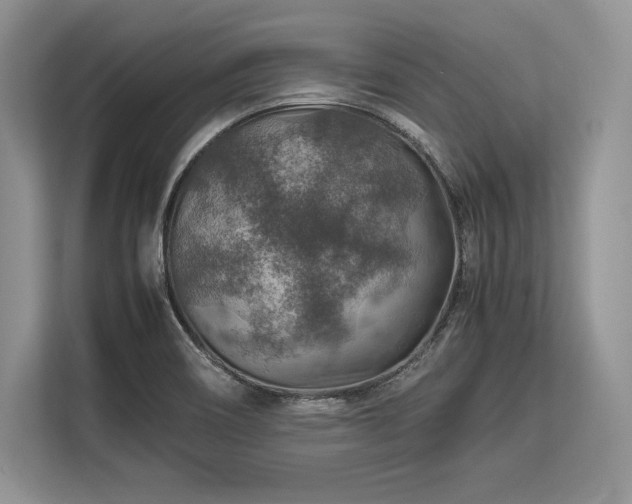 X0000113311466200909211132