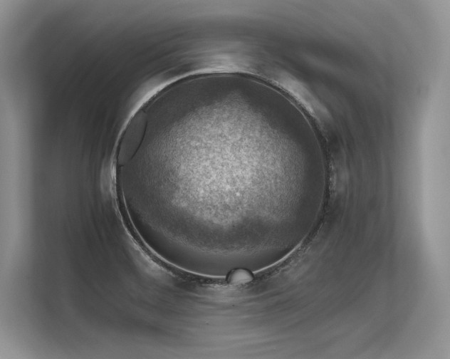 X0000113311468200909211132