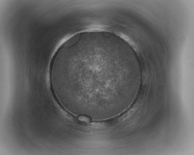 X0000113311469200909211132