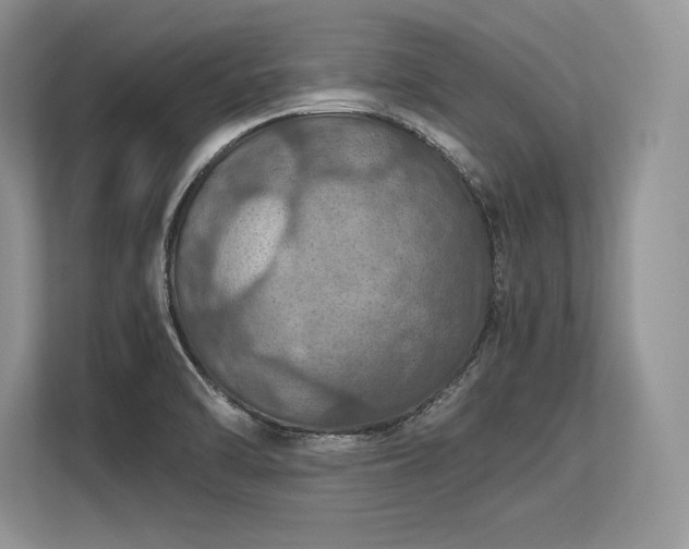 X0000113311470200909211132