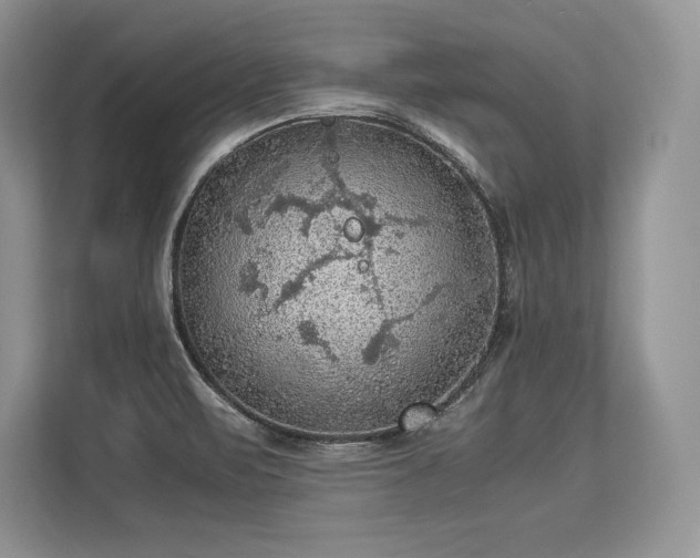 X0000113311471200909211132