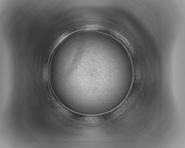 X0000113311473200909211132