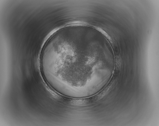 X0000113311474200909211132