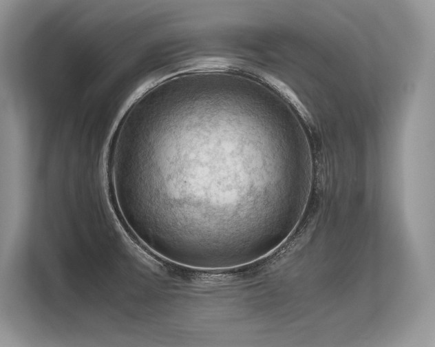 X0000113311475200909211132