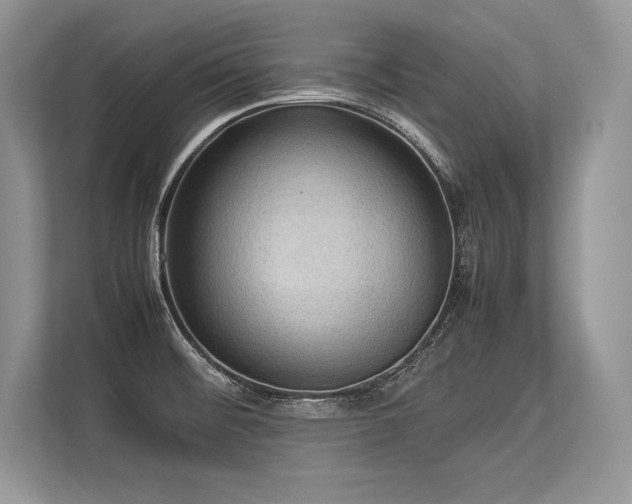 X0000113311476200909211131