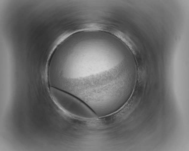 X0000113311477200909211131