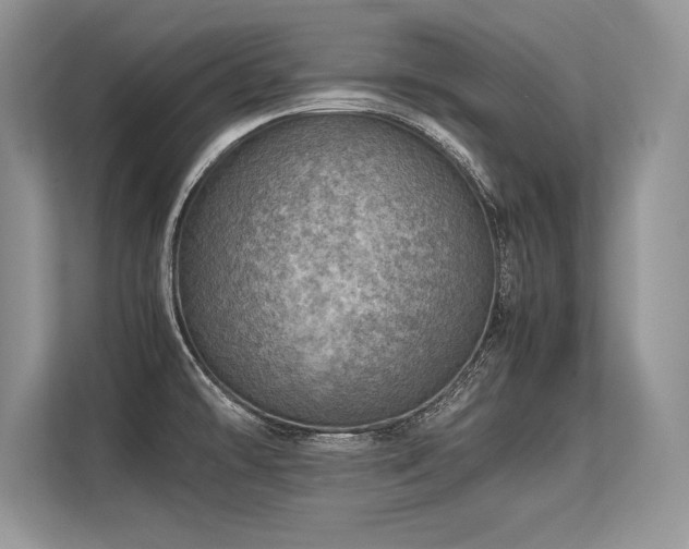 X0000113311478200909211131