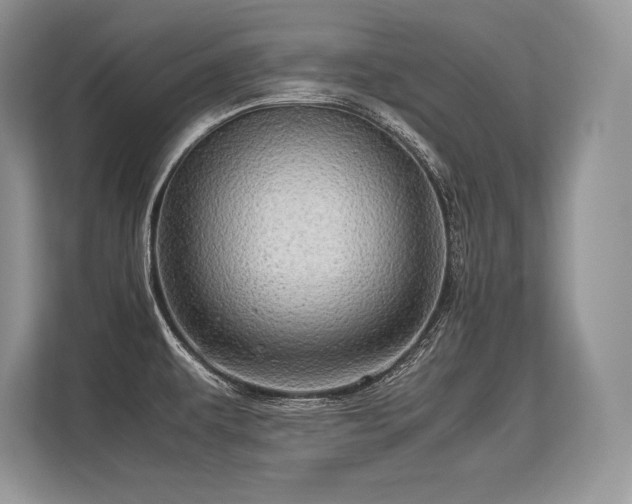 X0000113311479200909211131