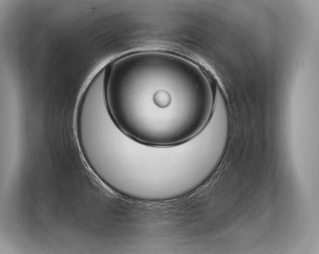 X0000113311480200909211131