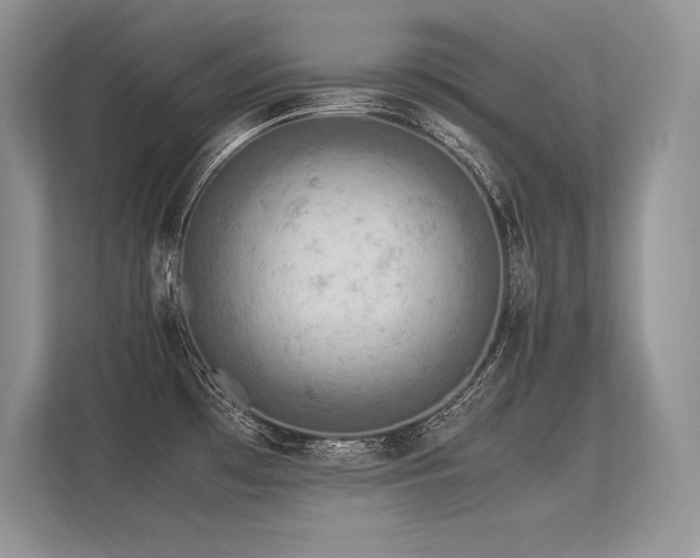 X0000113311481200909211131