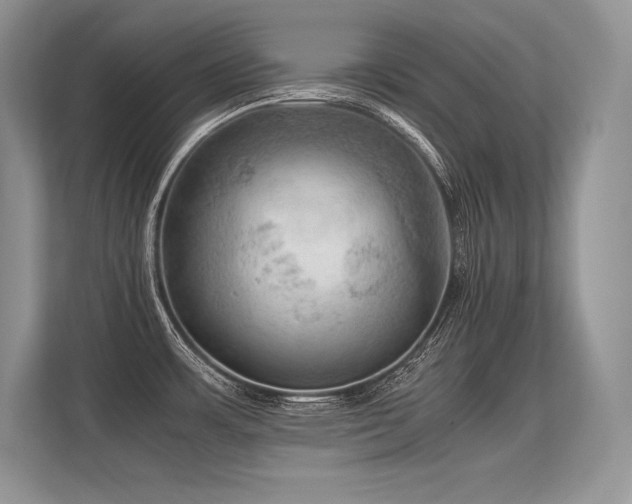 X0000113311483200909211131