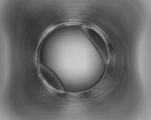 X0000113311485200909211131