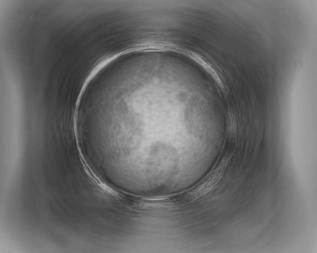 X0000113311486200909211131