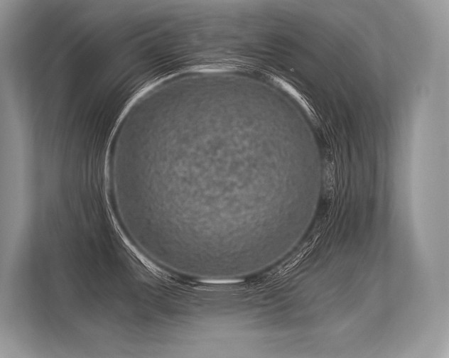 X0000113311487200909211131