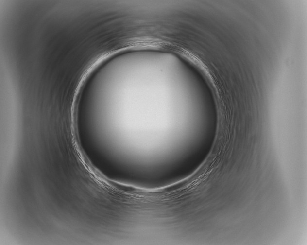 X0000113311488200909211131