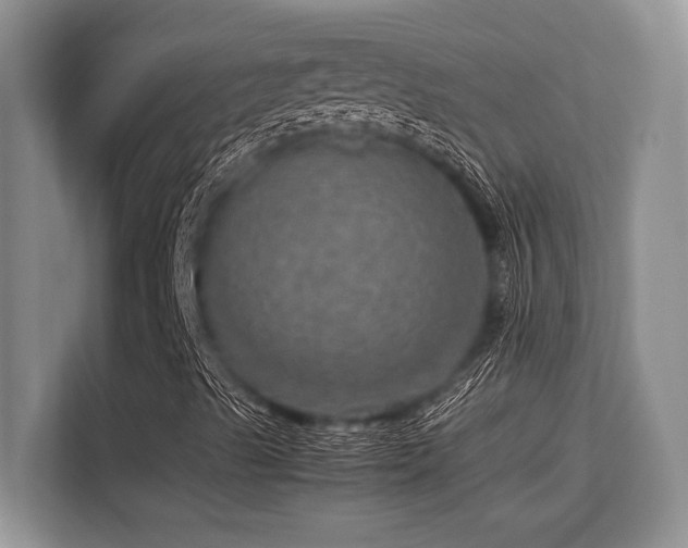 X0000113311489200909211131