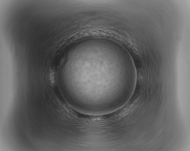 X0000113311490200909211131