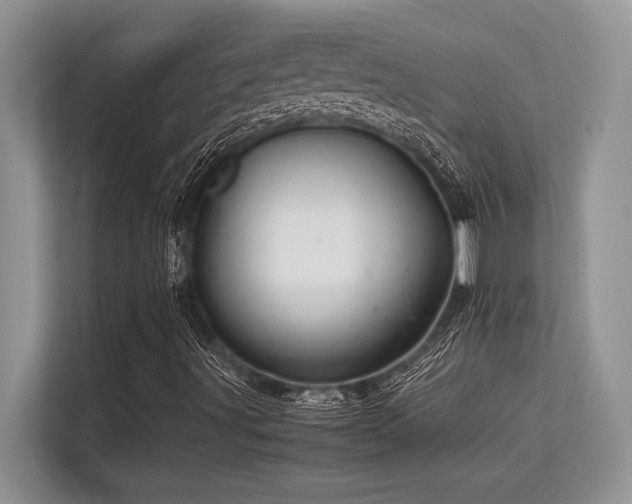 X0000113311491200909211131