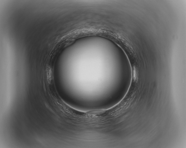 X0000113311492200909211131