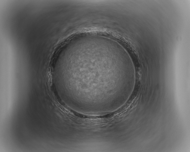 X0000113311493200909211131