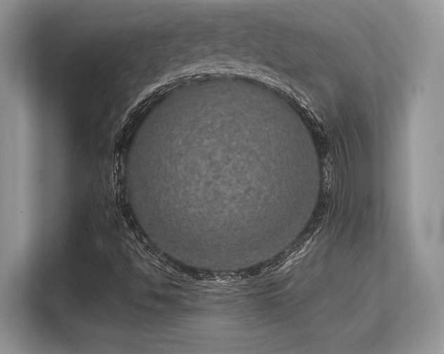 X0000113311494200909211131