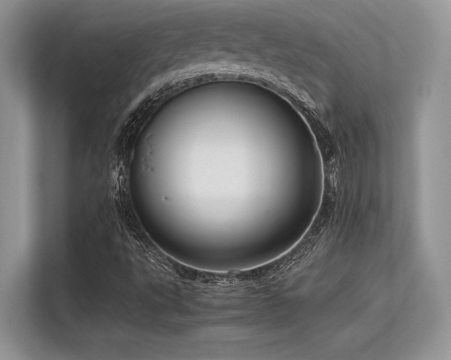 X0000113311495200909211131