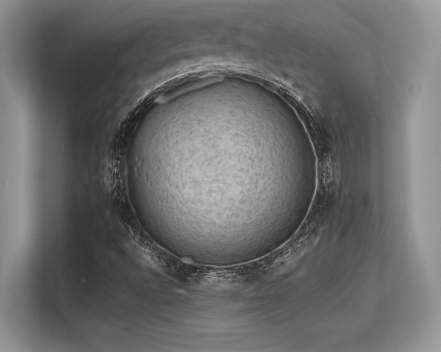 X0000113311496200909211131