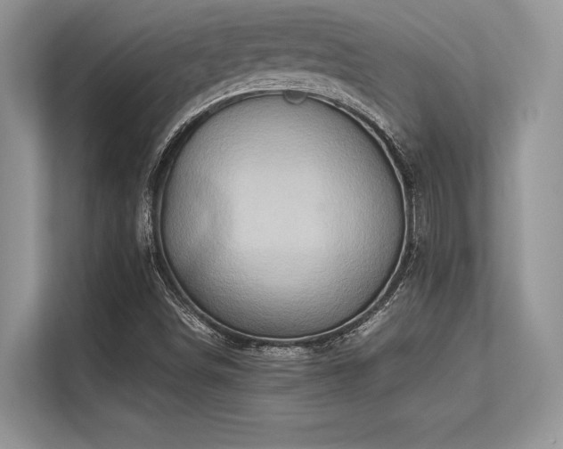 X0000113311498200909211131