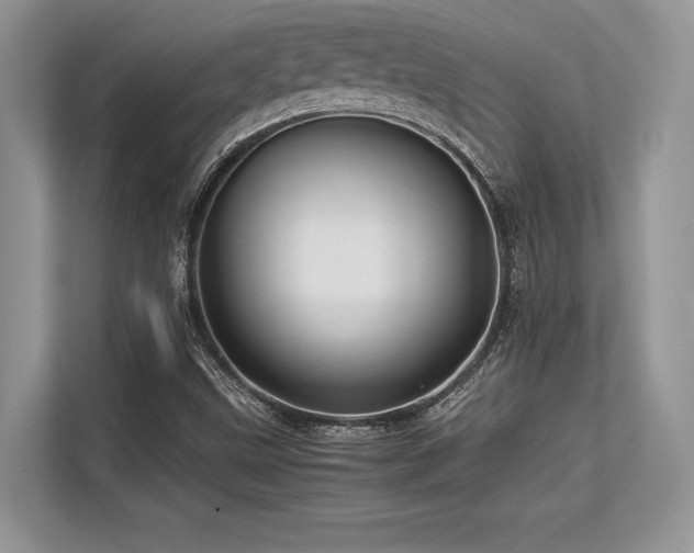 X0000113311499200909211131