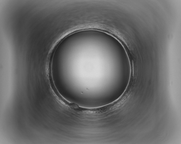 X0000113311500200909211131