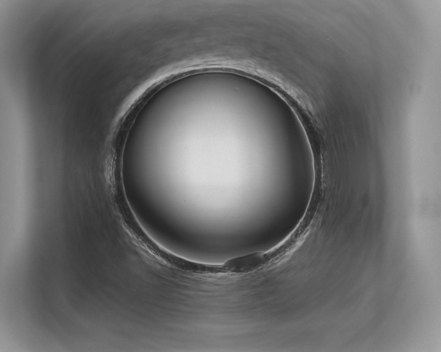 X0000113311502200909211131