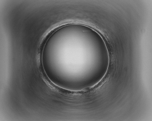 X0000113311503200909211131