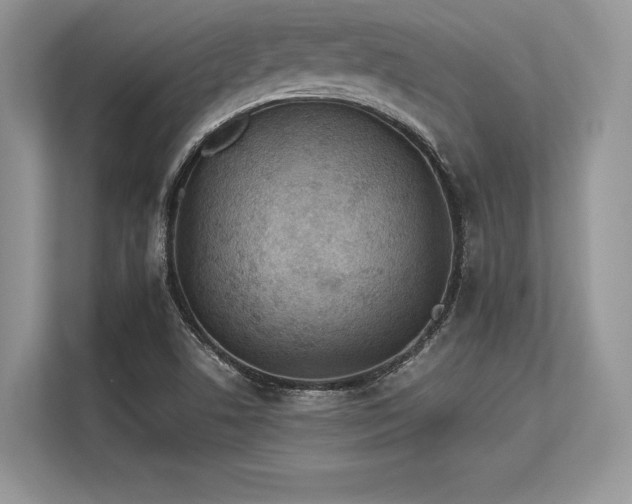 X0000113311506200909211131