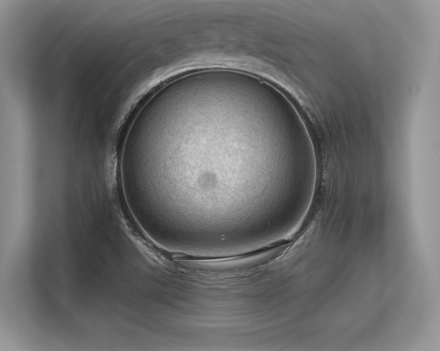 X0000113311507200909211131