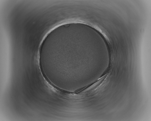 X0000113311508200909211131