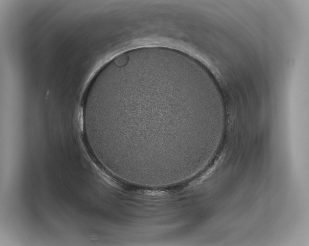 X0000113311509200909211131