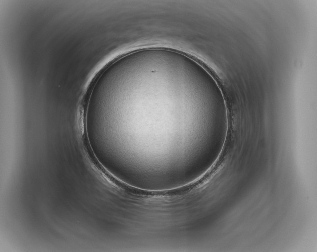 X0000113311510200909211131